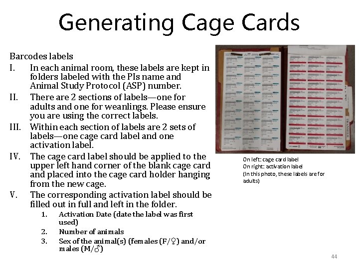 Generating Cage Cards Barcodes labels I. In each animal room, these labels are kept