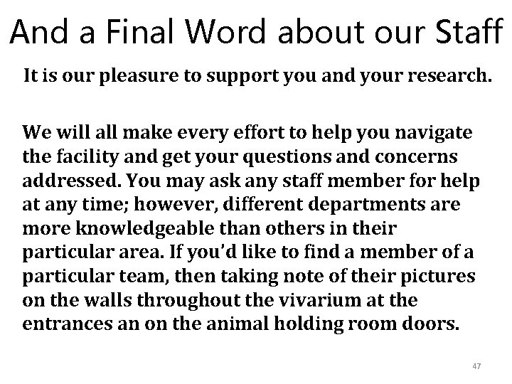 And a Final Word about our Staff It is our pleasure to support you