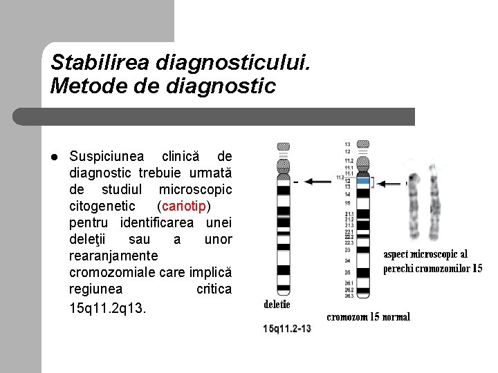 Stabilirea diagnosticului. Metode de diagnostic l Suspiciunea clinică de diagnostic trebuie urmată de studiul