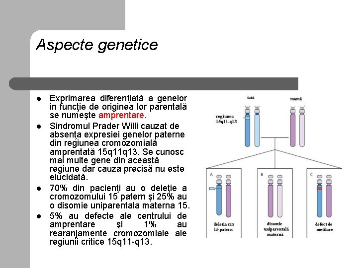 Aspecte genetice l l Exprimarea diferenţiată a genelor in funcţie de originea lor parentală