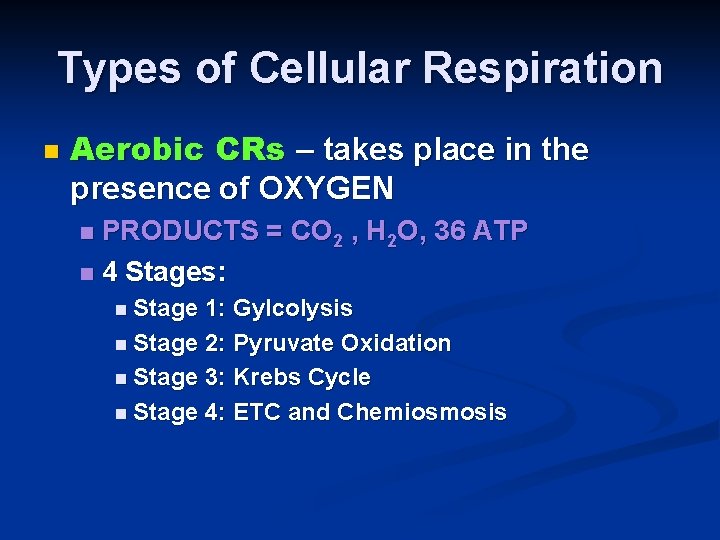 Types of Cellular Respiration n Aerobic CRs – takes place in the presence of