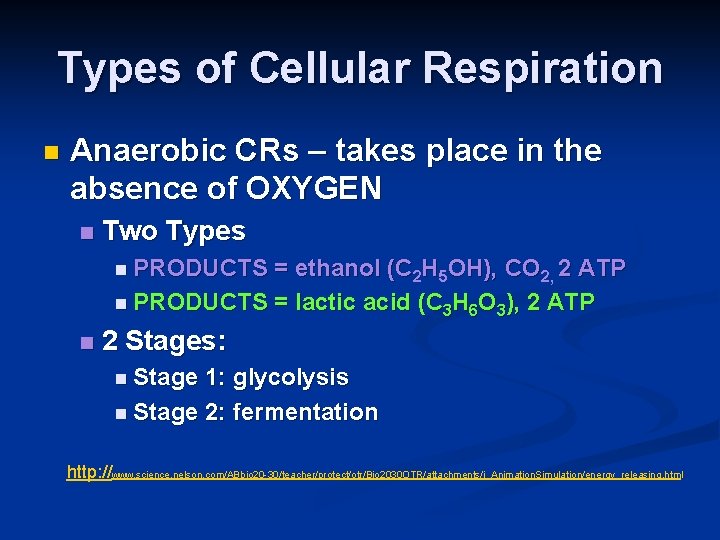 Types of Cellular Respiration n Anaerobic CRs – takes place in the absence of