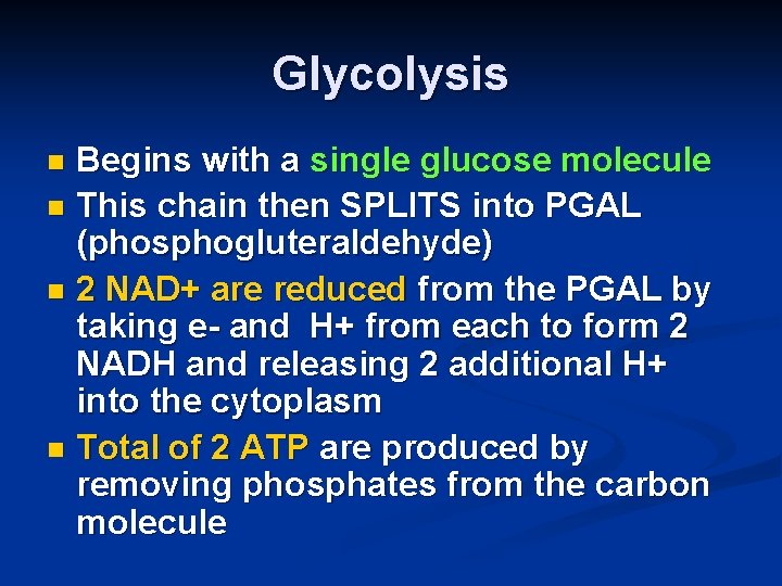 Glycolysis Begins with a single glucose molecule n This chain then SPLITS into PGAL