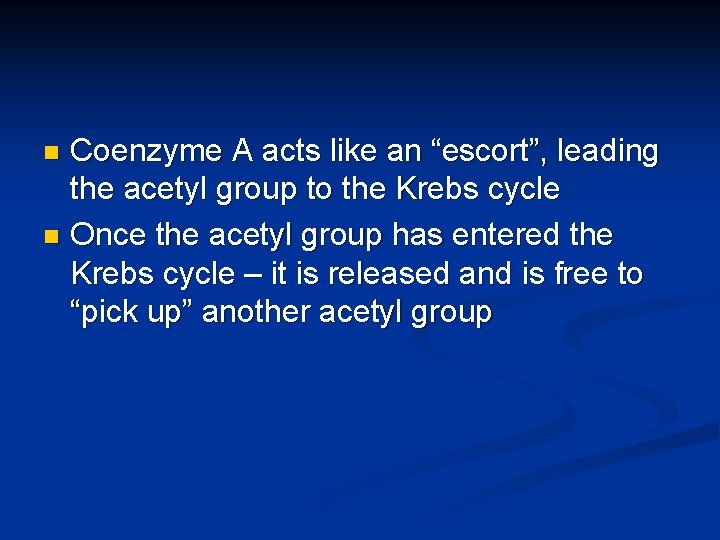 Coenzyme A acts like an “escort”, leading the acetyl group to the Krebs cycle