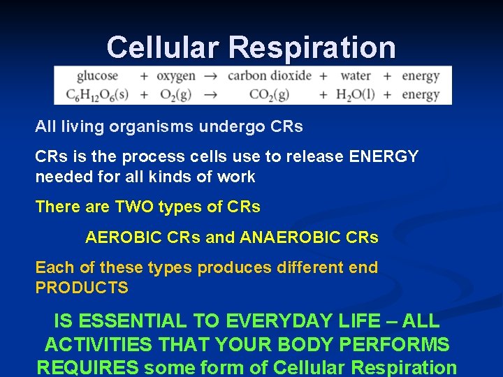 Cellular Respiration All living organisms undergo CRs is the process cells use to release