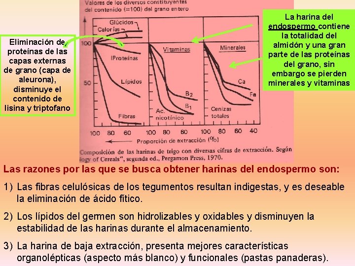 La harina del endospermo contiene la totalidad del almidón y una gran parte de