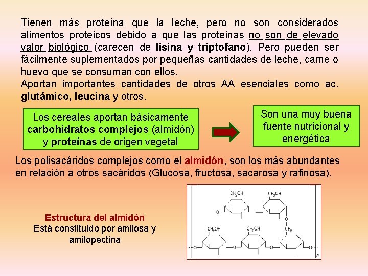 Tienen más proteína que la leche, pero no son considerados alimentos proteicos debido a