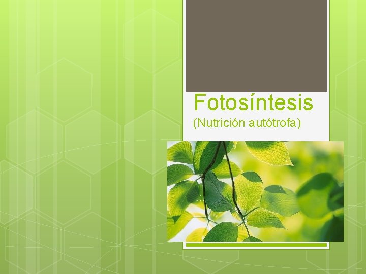 Fotosíntesis (Nutrición autótrofa) 