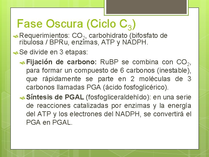 Fase Oscura (Ciclo C 3) Requerimientos: CO 2, carbohidrato (bifosfato de ribulosa / BPRu,