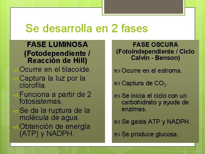 Se desarrolla en 2 fases FASE LUMINOSA (Fotodependiente / Reacción de Hill) Ocurre en