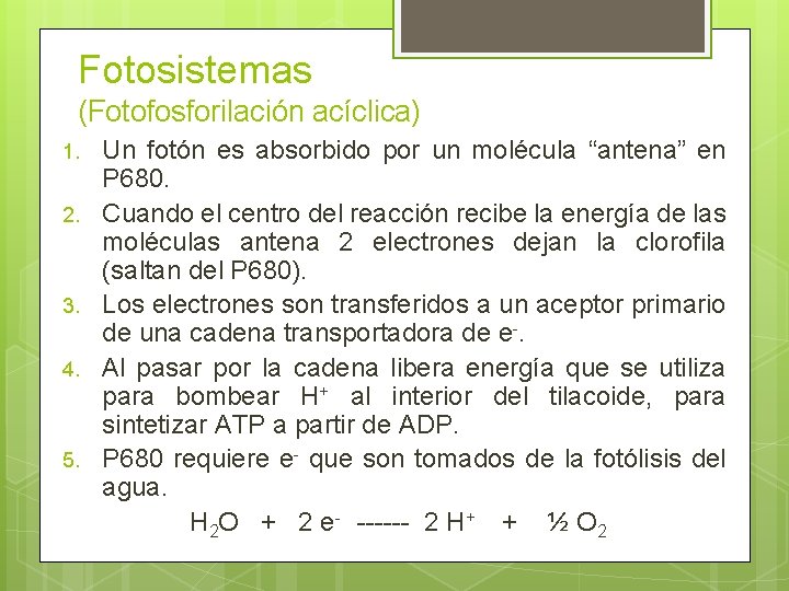 Fotosistemas (Fotofosforilación acíclica) 1. 2. 3. 4. 5. Un fotón es absorbido por un