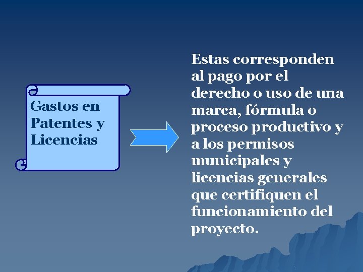 Gastos en Patentes y Licencias Estas corresponden al pago por el derecho o uso