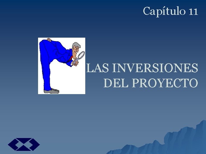 Capítulo 11 LAS INVERSIONES DEL PROYECTO 