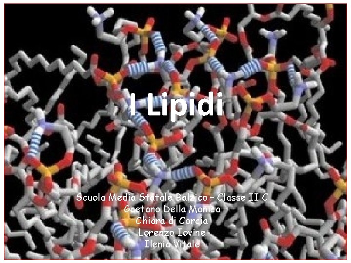 I Lipidi Scuola Media Statale Balzico – Classe II C Gaetano Della Monica Chiara