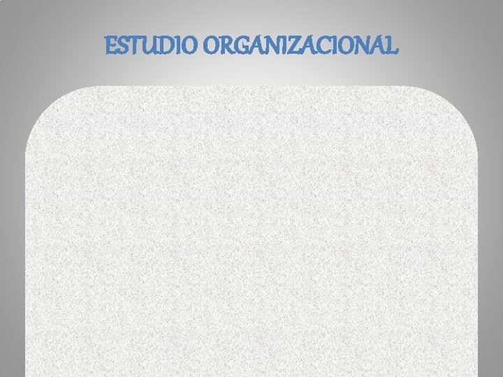 ESTUDIO ORGANIZACIONAL 