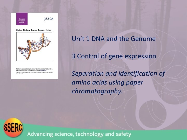 Unit 1 DNA and the Genome 3 Control of gene expression Separation and identification