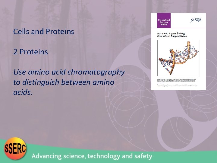 Cells and Proteins 2 Proteins Use amino acid chromatography to distinguish between amino acids.