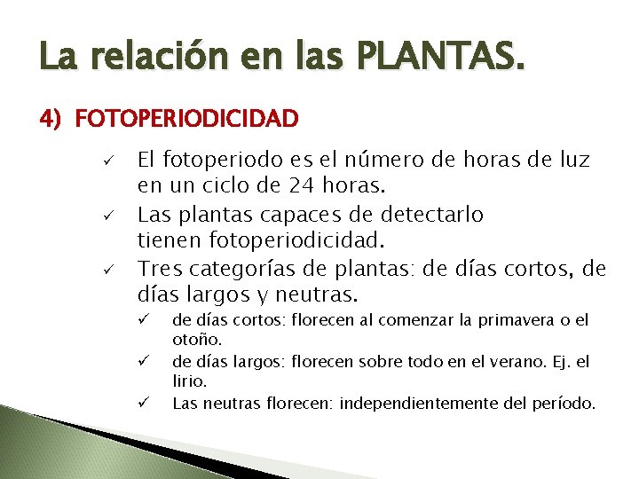 La relación en las PLANTAS. 4) FOTOPERIODICIDAD ü ü ü El fotoperiodo es el