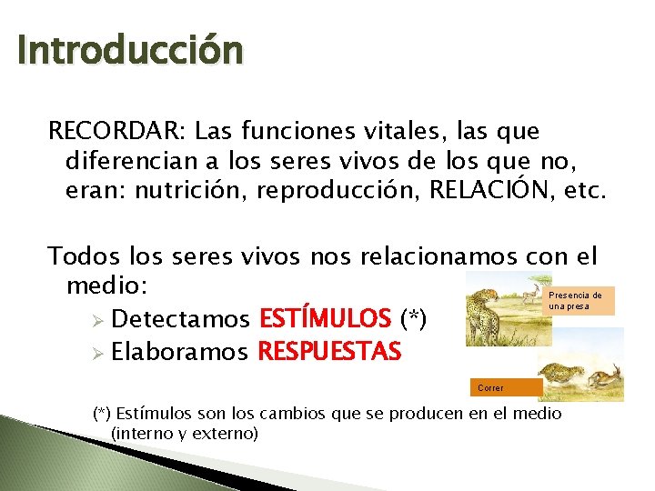 Introducción RECORDAR: Las funciones vitales, las que diferencian a los seres vivos de los