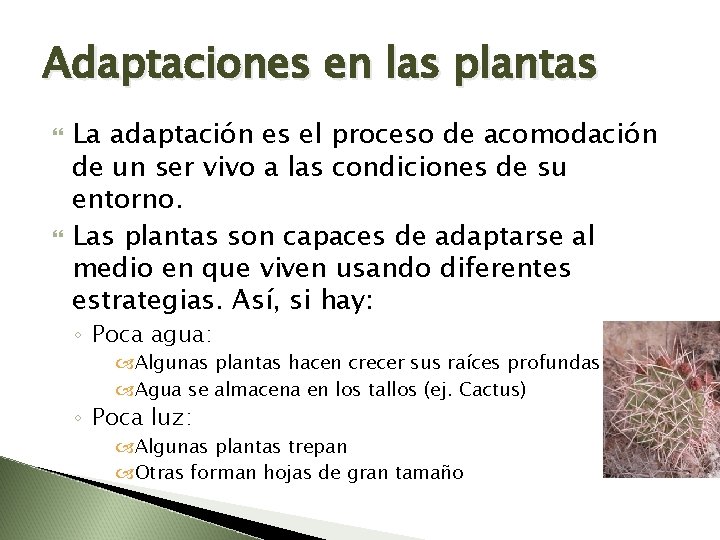 Adaptaciones en las plantas La adaptación es el proceso de acomodación de un ser