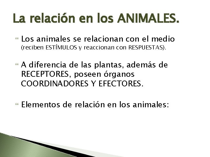 La relación en los ANIMALES. Los animales se relacionan con el medio (reciben ESTÍMULOS