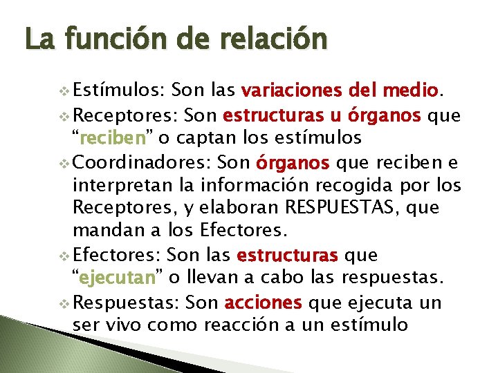 La función de relación v Estímulos: Son las variaciones del medio. v Receptores: Son