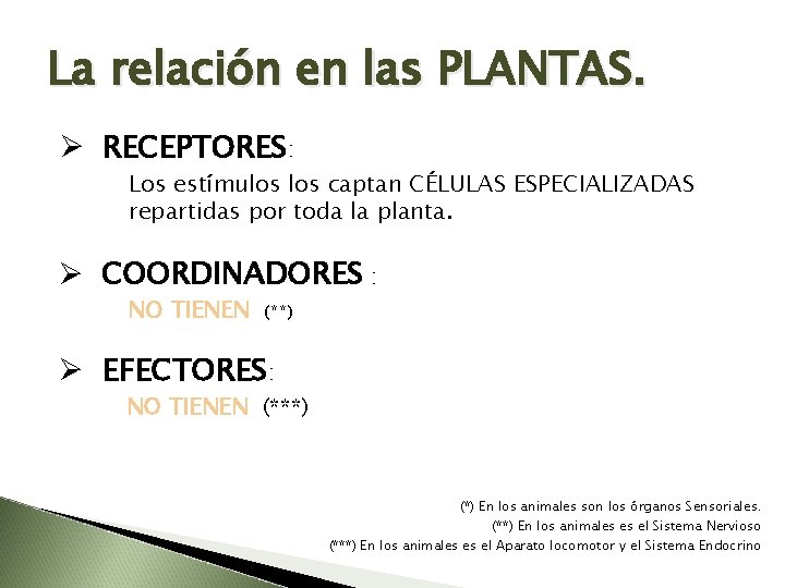 La relación en las PLANTAS. Ø RECEPTORES: Los estímulos captan CÉLULAS ESPECIALIZADAS repartidas por