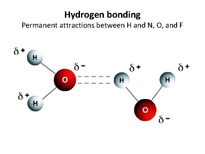 Hydrogen bonding Permanent attractions between H and N, O, and F 