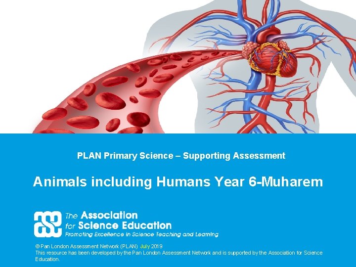 PLAN Primary Science – Supporting Assessment Animals including Humans Year 6 -Muharem © Pan