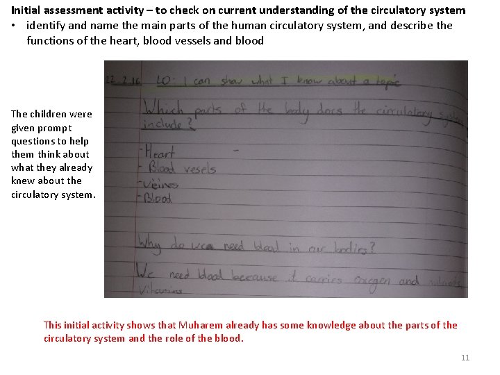 Initial assessment activity – to check on current understanding of the circulatory system •
