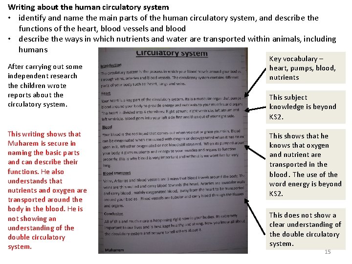 Writing about the human circulatory system • identify and name the main parts of