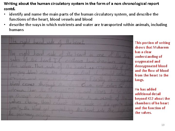 Writing about the human circulatory system in the form of a non chronological report