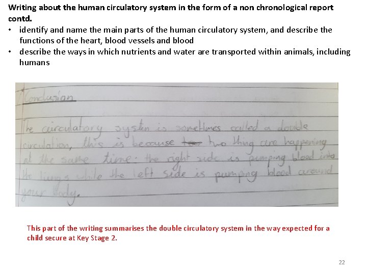 Writing about the human circulatory system in the form of a non chronological report