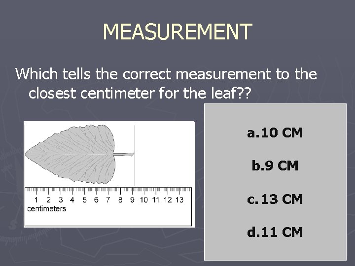 MEASUREMENT Which tells the correct measurement to the closest centimeter for the leaf? ?