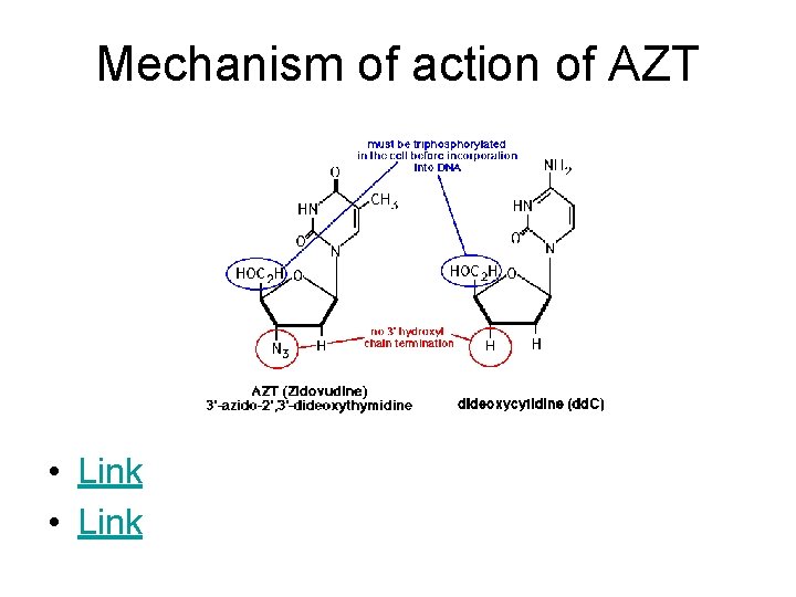 Mechanism of action of AZT • Link 