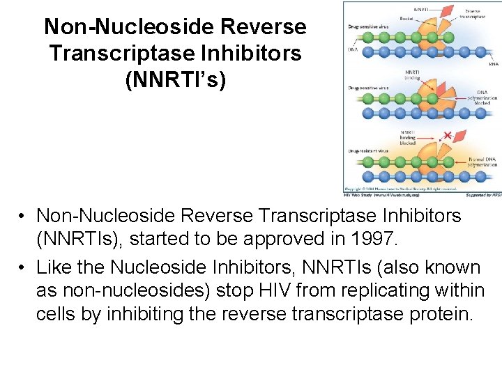 Non-Nucleoside Reverse Transcriptase Inhibitors (NNRTI’s) • Non-Nucleoside Reverse Transcriptase Inhibitors (NNRTIs), started to be