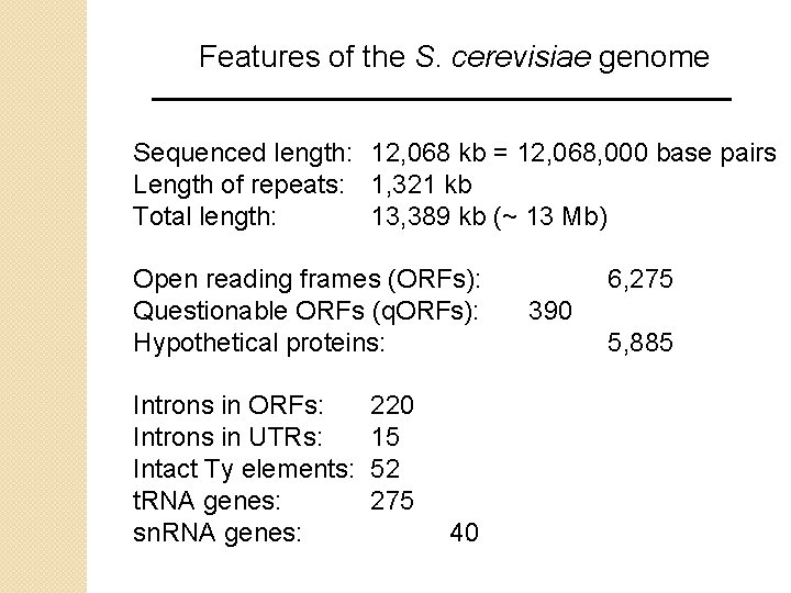 Features of the S. cerevisiae genome Sequenced length: 12, 068 kb = 12, 068,