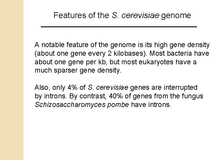 Features of the S. cerevisiae genome A notable feature of the genome is its