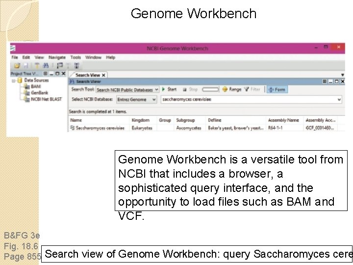 Genome Workbench is a versatile tool from NCBI that includes a browser, a sophisticated