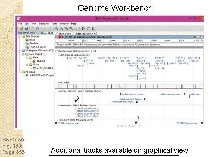 Genome Workbench B&FG 3 e Fig. 18. 6 Page 855 Additional tracks available on