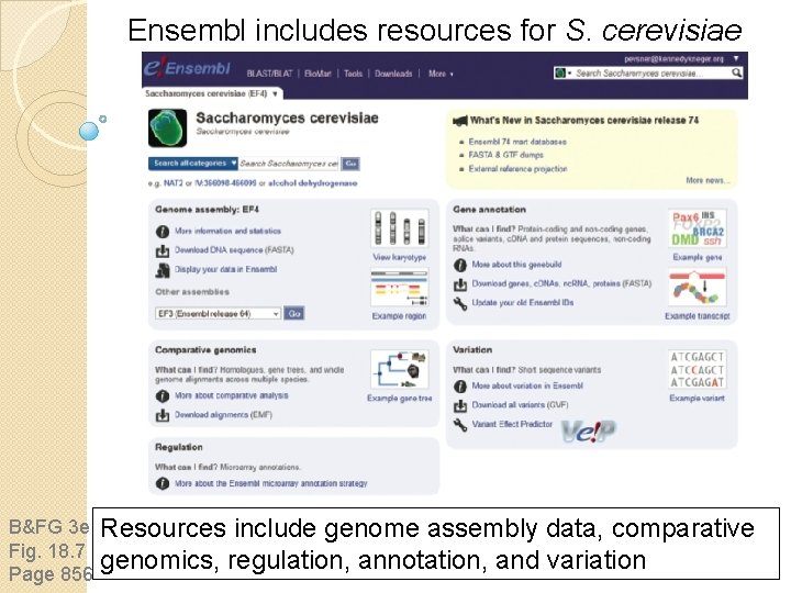 Ensembl includes resources for S. cerevisiae B&FG 3 e Fig. 18. 7 Page 856