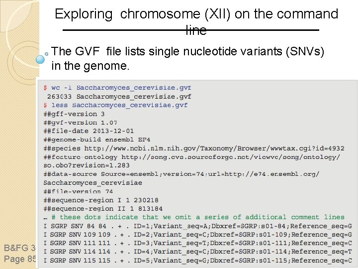 Exploring chromosome (XII) on the command line The GVF file lists single nucleotide variants