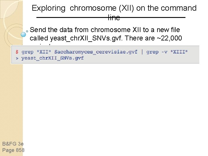 Exploring chromosome (XII) on the command line Send the data from chromosome XII to