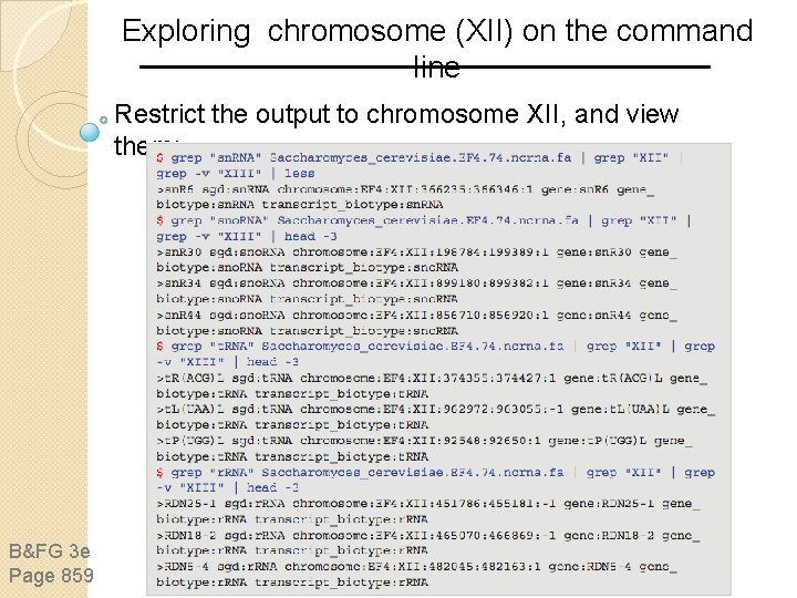 Exploring chromosome (XII) on the command line Restrict the output to chromosome XII, and