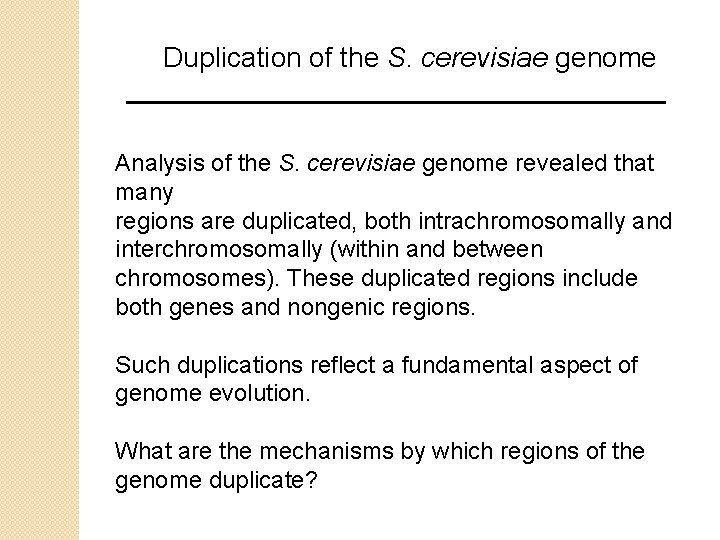 Duplication of the S. cerevisiae genome Analysis of the S. cerevisiae genome revealed that