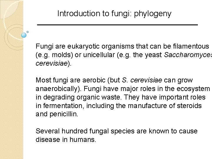 Introduction to fungi: phylogeny Fungi are eukaryotic organisms that can be filamentous (e. g.