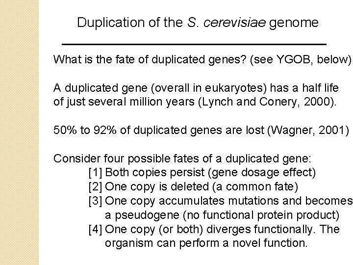 Duplication of the S. cerevisiae genome What is the fate of duplicated genes? (see