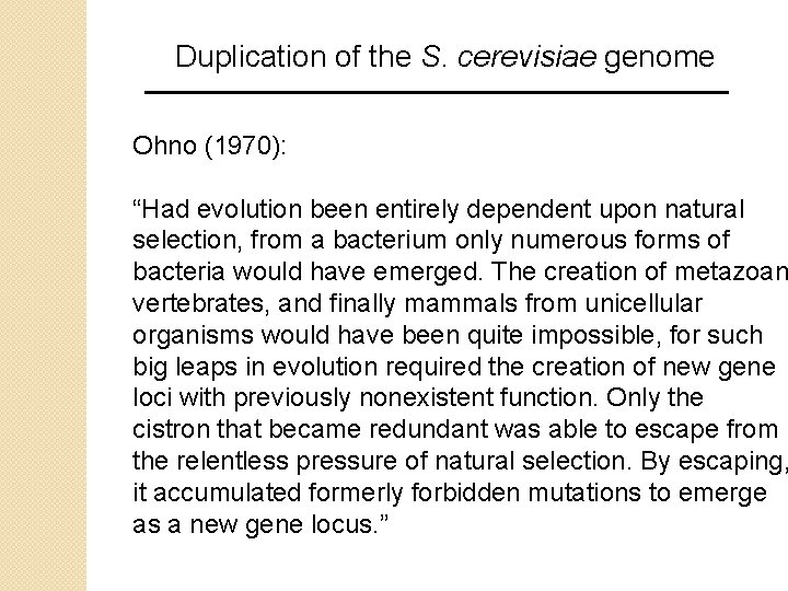 Duplication of the S. cerevisiae genome Ohno (1970): “Had evolution been entirely dependent upon