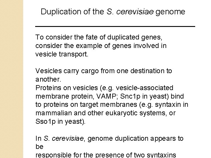 Duplication of the S. cerevisiae genome To consider the fate of duplicated genes, consider