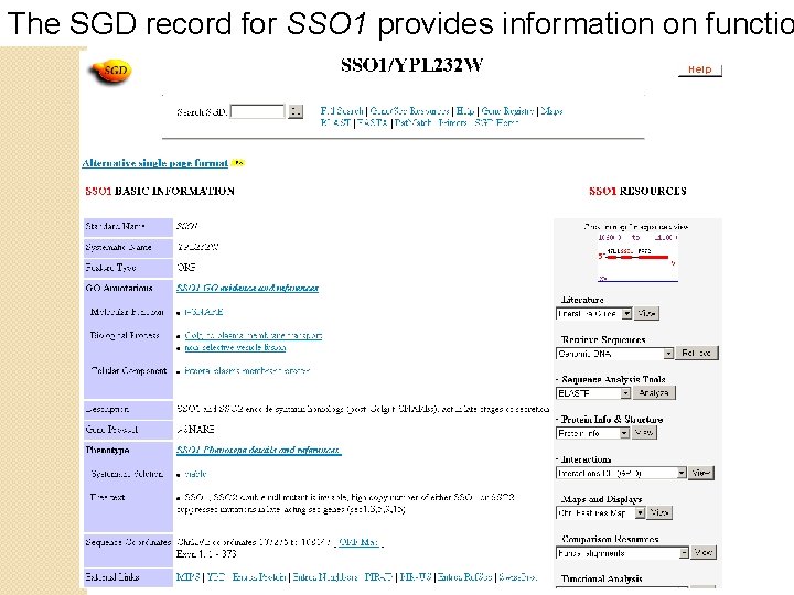 The SGD record for SSO 1 provides information on functio 